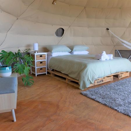 1 Waipu Off-Grid Eco Seaview Geodesic Glamping Dome Ξενοδοχείο Εξωτερικό φωτογραφία